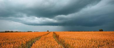 Large Public Debts and Confidence Crises